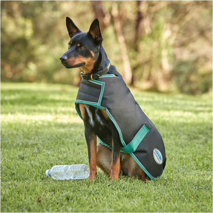 2022 Weatherbeeta GreenTec 900D Dog Coat Lite Plus 1006215 Black